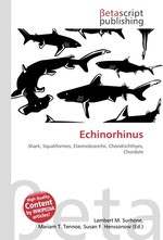 Echinorhinus