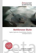 Bottlenose Skate