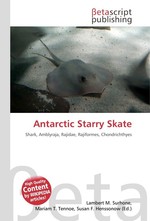 Antarctic Starry Skate