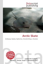 Arctic Skate