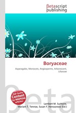 Boryaceae
