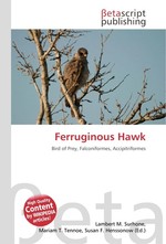 Ferruginous Hawk