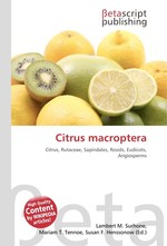 Citrus macroptera