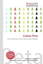 Cuban Pine