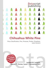 Chihuahua White Pine