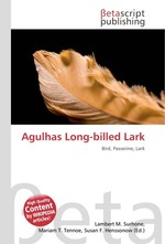 Agulhas Long-billed Lark