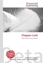 Clapper Lark