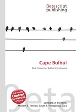 Cape Bulbul