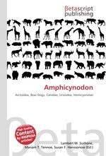 Amphicynodon