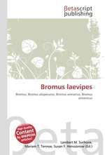 Bromus laevipes