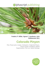 Colorado Pinyon