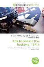 Erik Andersson (Ice hockey b. 1971)
