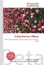Calochortus Albus