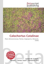 Calochortus Catalinae