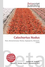 Calochortus Nudus