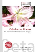Calochortus Striatus