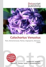 Calochortus Venustus