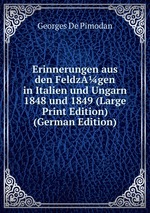 Erinnerungen aus den FeldzAgen in Italien und Ungarn 1848 und 1849 (Large Print Edition) (German Edition)