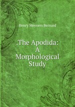 .The Apodida: A Morphological Study