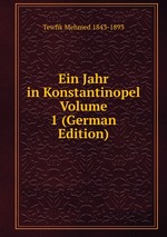 Ein Jahr in Konstantinopel Volume 1 (German Edition)