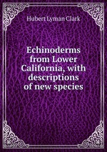 Echinoderms from Lower California, with descriptions of new species