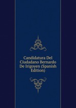 Candidatura Del Ciudadano Bernardo De Irigoyen (Spanish Edition)