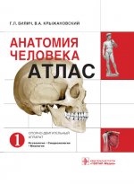 Анатомия человека. Атлас. В 3-х томах. Том 1. Опорно-двигательный аппарат. Остеология. Синдесмология. Миология