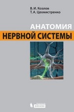 Анатомия нервной системы. Учебное пособие