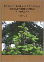 Виды и формы хвойных, культивируемые в России. Часть 3. Abies Mill., Chamaecyparis Spach