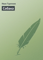 Собака Собака