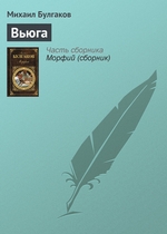 Вьюга Вьюга