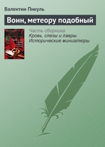 Воин, метеору подобный Воин, метеору подобный