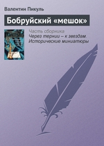 Бобруйский «мешок» Бобруйский «мешок»