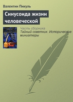 Синусоида жизни человеческой Синусоида жизни человеческой