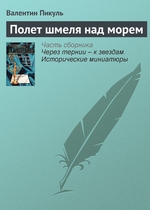 Полет шмеля над морем Полет шмеля над морем