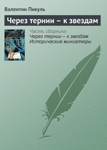 Через тернии – к звездам Через тернии – к звездам
