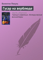 Гусар на верблюде Гусар на верблюде