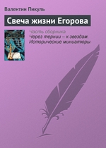 Свеча жизни Егорова Свеча жизни Егорова