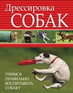 Дрессировка собак. Учимся правильно воспитывать собаку Дрессировка собак. Учимся правильно воспитывать собаку