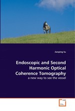 Endoscopic and Second Harmonic Optical Coherence Tomography. a new way to see the vessel