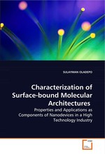 Characterization of Surface-bound Molecular Architectures. Properties and Applications as Components of Nanodevices in a High Technology Industry