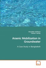 Arsenic Mobilization in Groundwater. A Case Study in Bangladesh