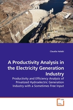 A Productivity Analysis in the Electricity Generation Industry. Productivity and Efficiency Analysis of Privatized Hydroelectric Generation Industry with a Sometimes Free Input