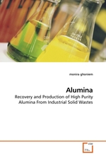 Alumina. Recovery and Production of High Purity Alumina From Industrial Solid Wastes