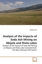 Analysis of the Impacts of Soda Ash Mining on Abijata and Shala Lakes. Analysis of the Impacts of Soda Ash Mining on Abijata and Shala Lakes Subwatershed: the Main Ethiopian Rift System
