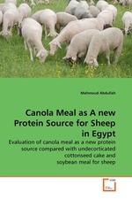 Canola Meal as A new Protein Source for Sheep in Egypt. Evaluation of canola meal as a new protein source compared with undecorticated cottonseed cake and soybean meal for sheep