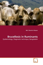 Brucellosis in Ruminants. Epidemiology, Diagnostic technique, Bangladesh