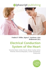 Electrical Conduction System of the Heart