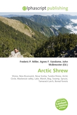 Arctic Shrew