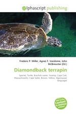 Diamondback terrapin